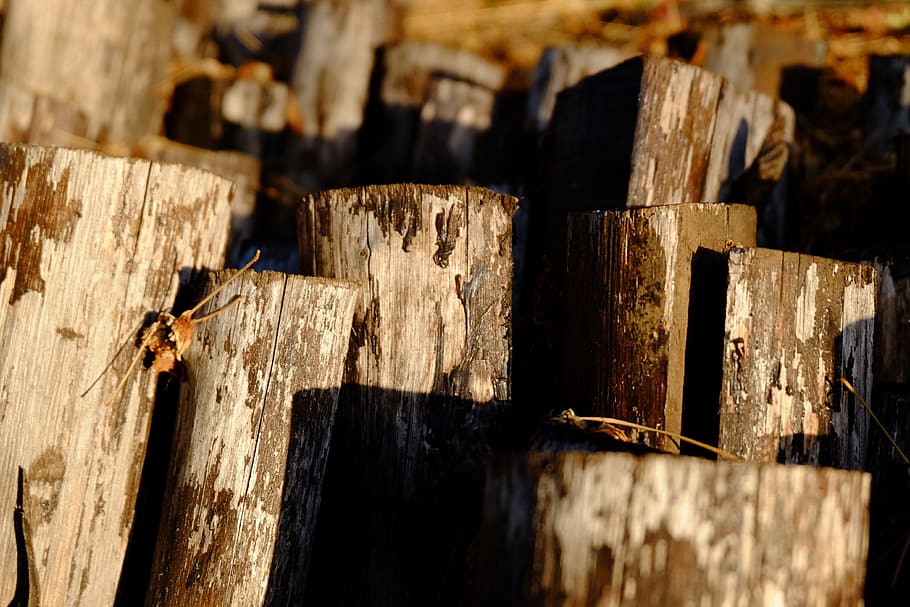 Wood, Construction, Rustico, wood - material, no people, textured, HD wallpaper