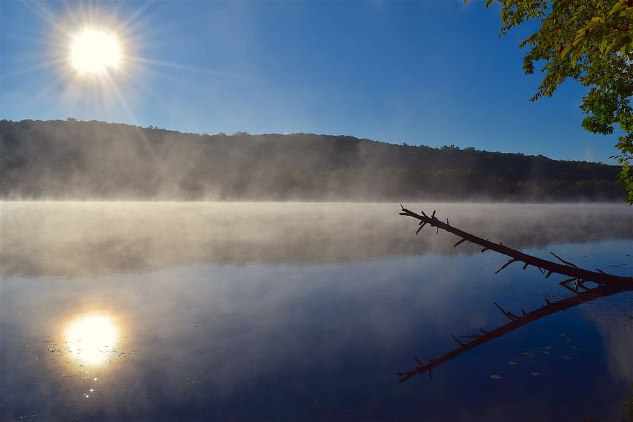 lake, mist, water, sun, nature, landscape, summer, outdoor HD wallpaper