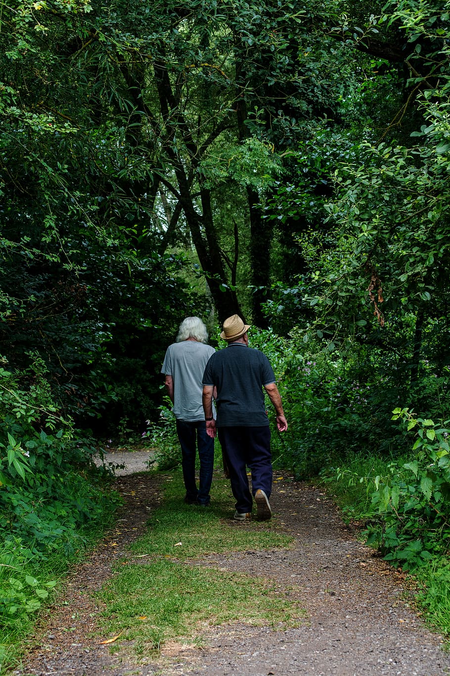men, walking, trees, nature, pathway, walking people, plant HD wallpaper