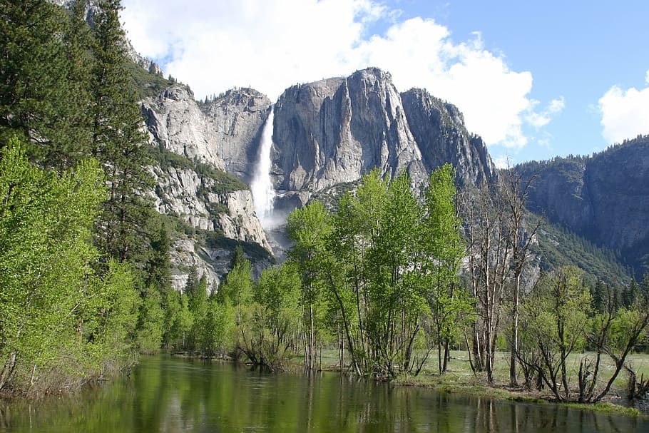 yosemite, forest, nature, trees, landscape, hiking, environment HD wallpaper