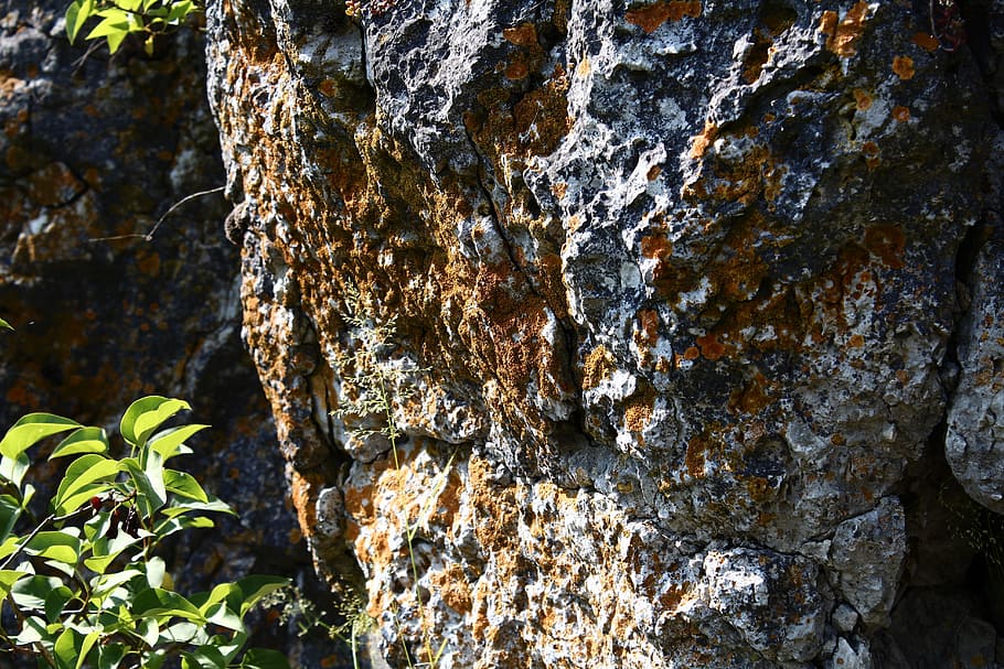 Rock, Moss, Stone, Nature, bemoost, forest, hiking, close-up HD wallpaper