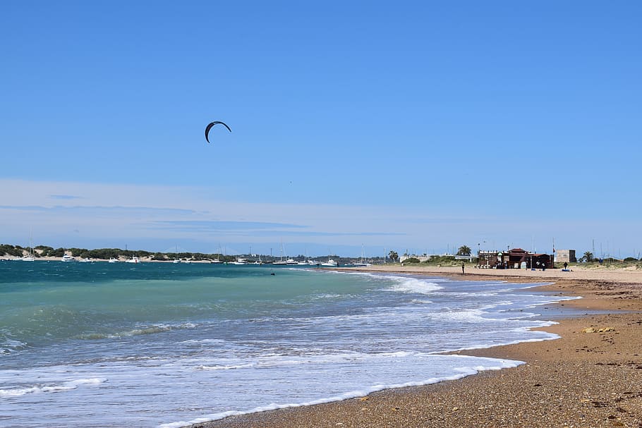 beach, sea, seagull, water, land, sky, nature, scenics - nature HD wallpaper