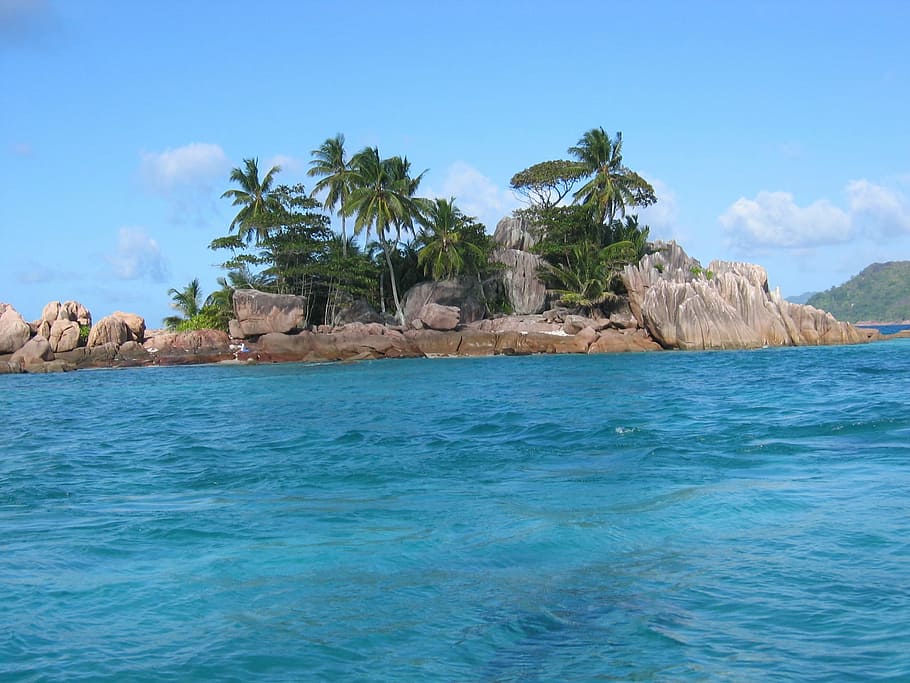 green coconut trees on gray island during daytime, pirate, seychelles, HD wallpaper
