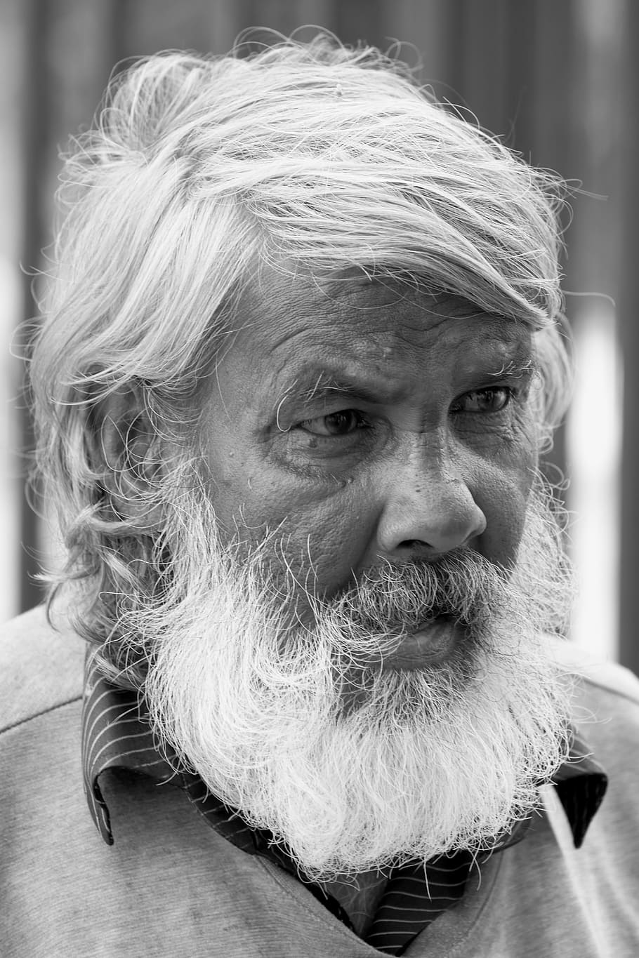 old man, portrait, elderly, adult, regardless of whether the HD wallpaper