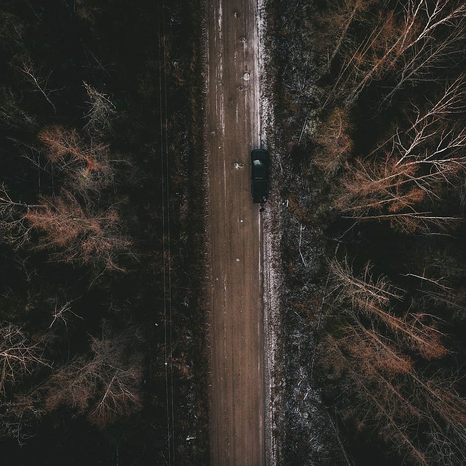 bird's eye view of highway in the middle of a forest, brown trees near road HD wallpaper