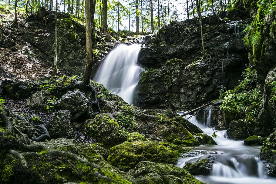 Forest, Waterfall, Schliersee, Nature, landscape, waterfalls, HD wallpaper