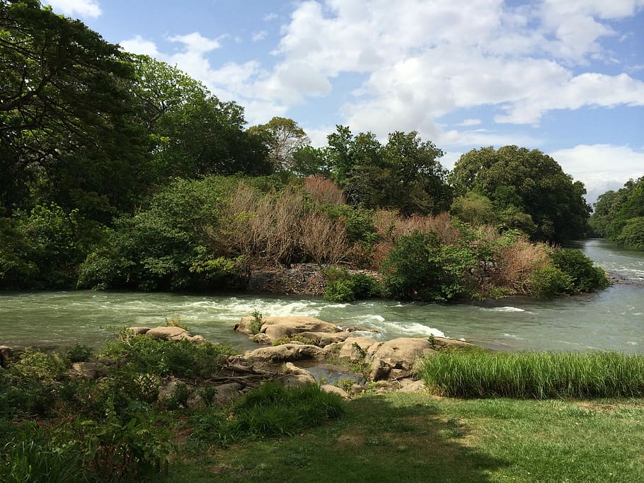 River View, Water, Landscape, nature, outdoor, tree, cloud - sky HD wallpaper