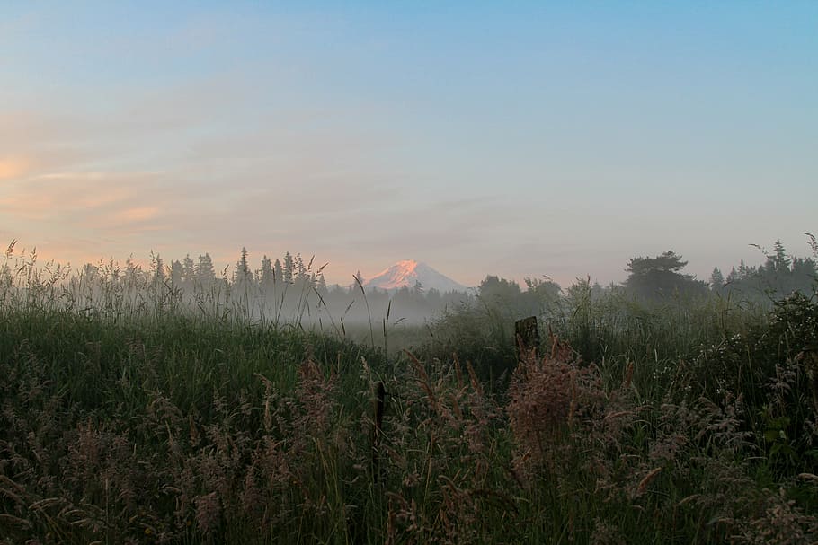 mount rainier, sunrise, dawn, sky, blue, morning, light, nature HD wallpaper