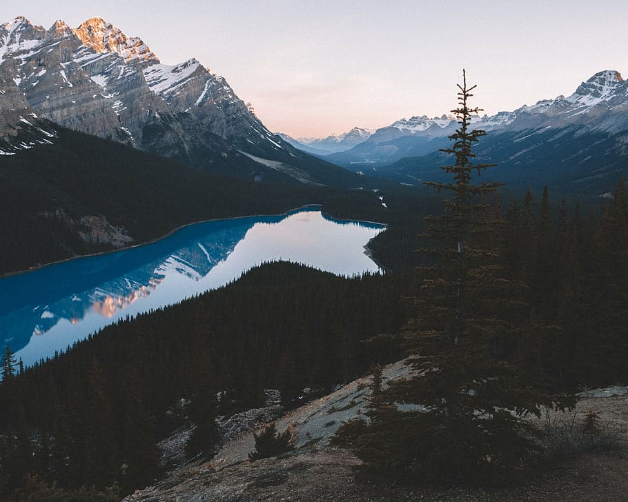 body of water surrounded by trees, photography, watewr, lake HD wallpaper