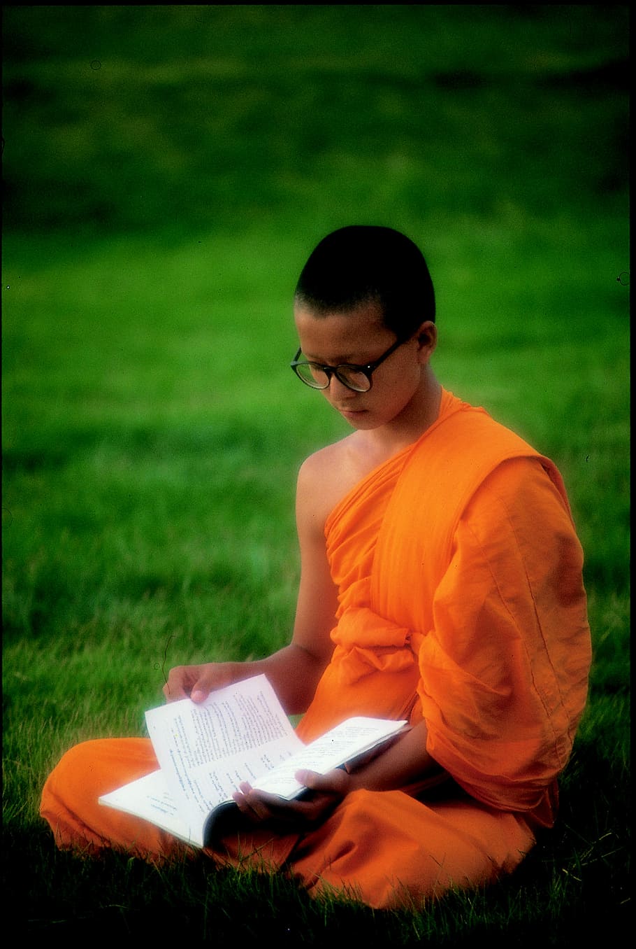 buddhist, learn, wat, phra dhammakaya, temple, dhammakaya pagoda HD wallpaper