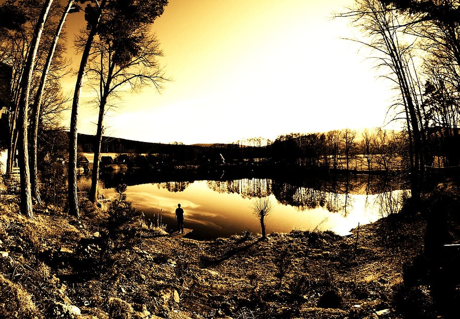 pond, water, solitude, sun, sunset, mood, tree, lake, sky, tranquility HD wallpaper