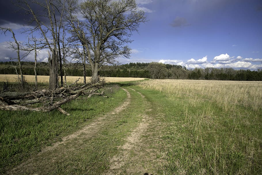 Trail landscape at Quincy Bluff, Wisconsin, hiking, landscapes HD wallpaper