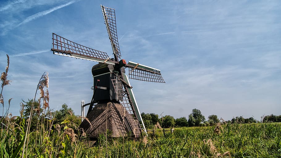 Wicks, Wind Mill, historic building, dutch mill, wood, wooden wicks HD wallpaper