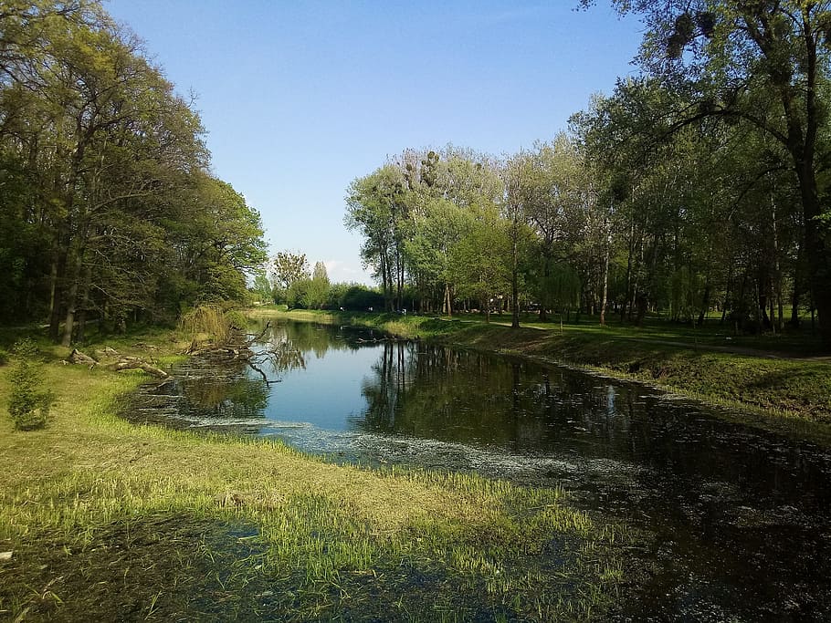 Nature, Park, Tree, Green, Forest, landscape, water, river HD wallpaper