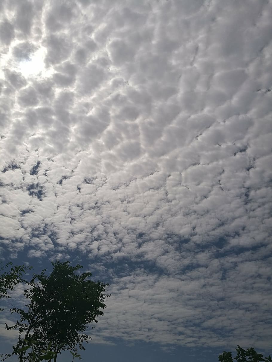 sunny days, white cloud, fresh, nature, weather, sky, cloud - Sky HD wallpaper