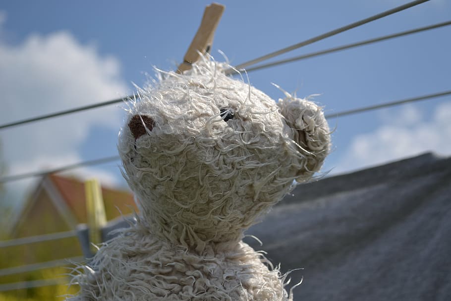 doll, teddy bear, toy, no people, day, sky, focus on foreground HD wallpaper