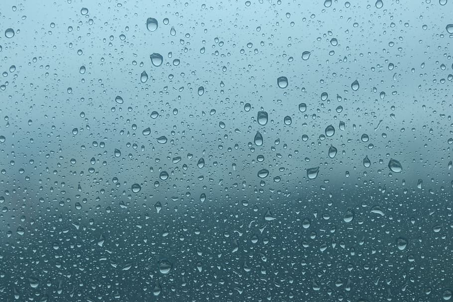 non, the net, window, seasons, fine dust, wet, drop, rain, water HD wallpaper