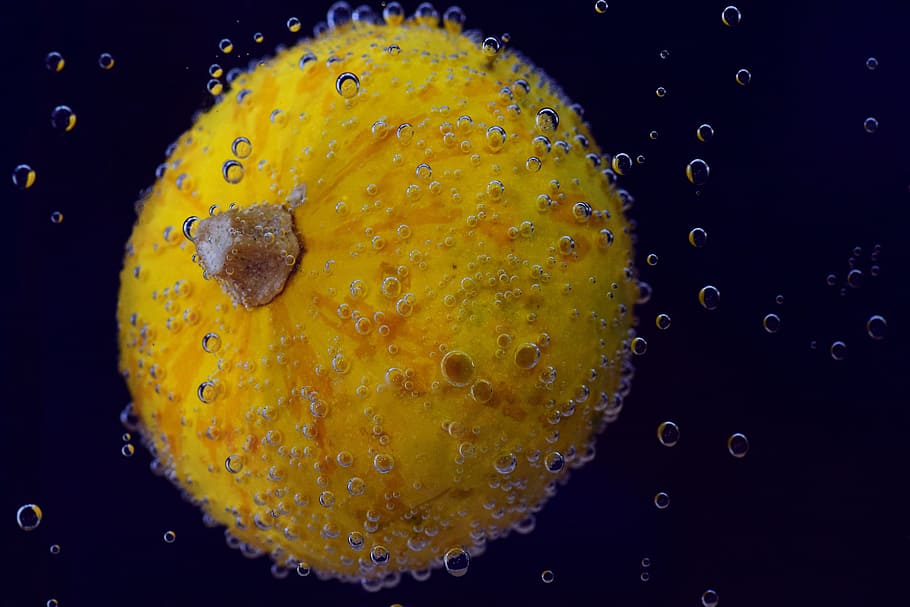 pumpkin, halloween, gourd, green, orange, yellow, underwater HD wallpaper