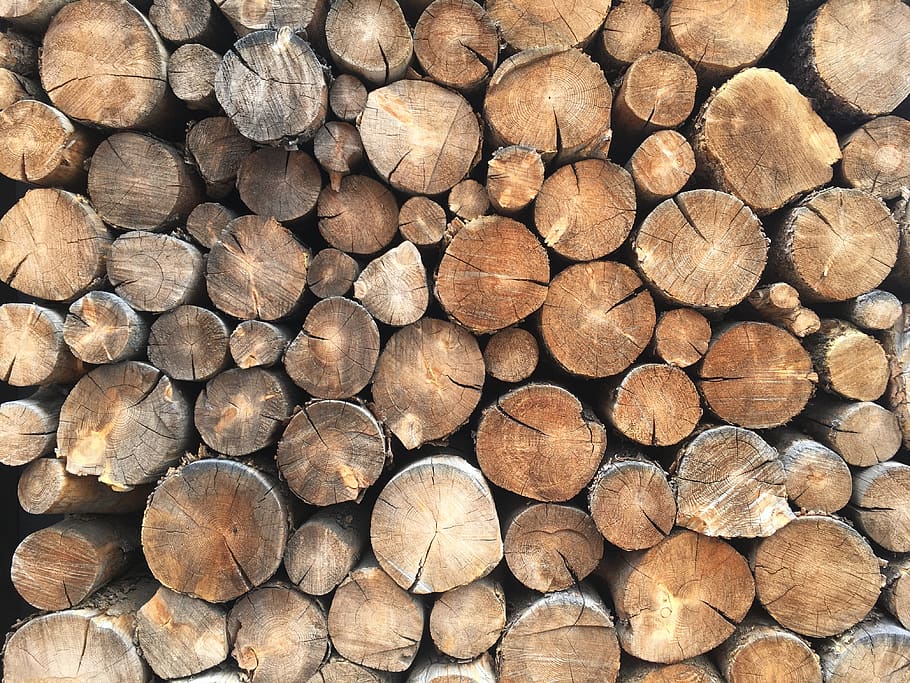 wood, logs, stack, wooden, lumber, cut, texture, material, brown, HD wallpaper