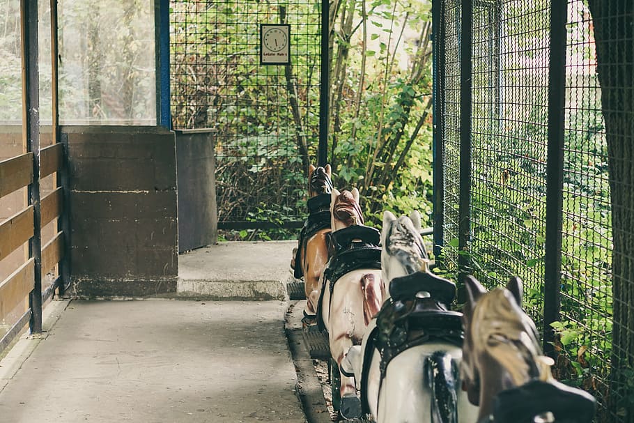 ride, old freizeitpark, nostalgic, old time, retro, theme park HD wallpaper
