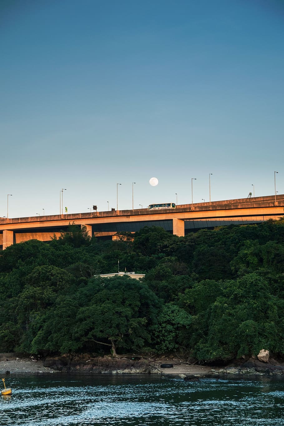 river, water, tree, plant, nature, bridge, structure, bus, vehicle HD wallpaper