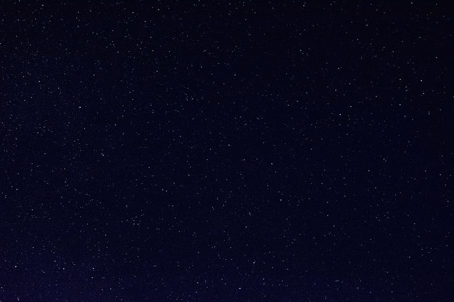 stars, forest, solitude, night, heaven, nature, sky, landscape HD wallpaper