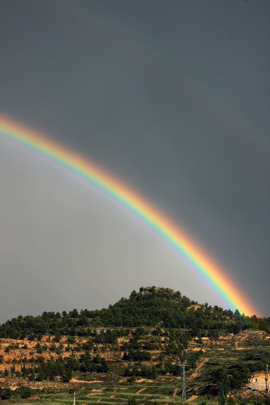 Rainbow, sky, storm, tree, remote, tranquil scene, grass, scenics HD wallpaper
