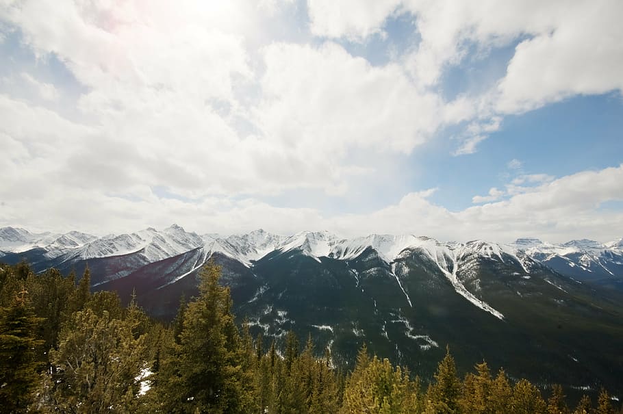 blue sky, clouds, cloudy, cold, conifer, fir trees, forest HD wallpaper