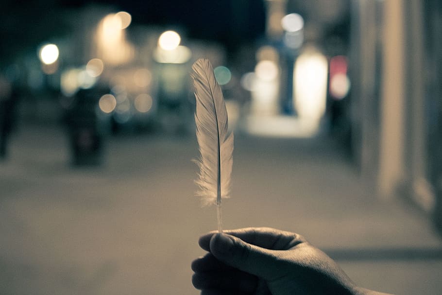 feather, hands, night, lights, blurry, human hand, human body part HD wallpaper