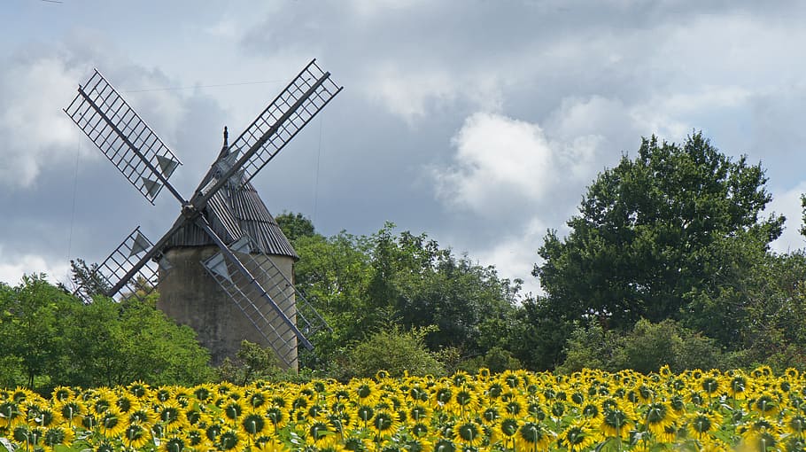 mill, sunflower, landscape, environmental conservation, renewable energy HD wallpaper