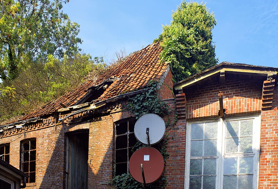 backyard, lapsed, building, facade, decay, old houses, old town HD wallpaper