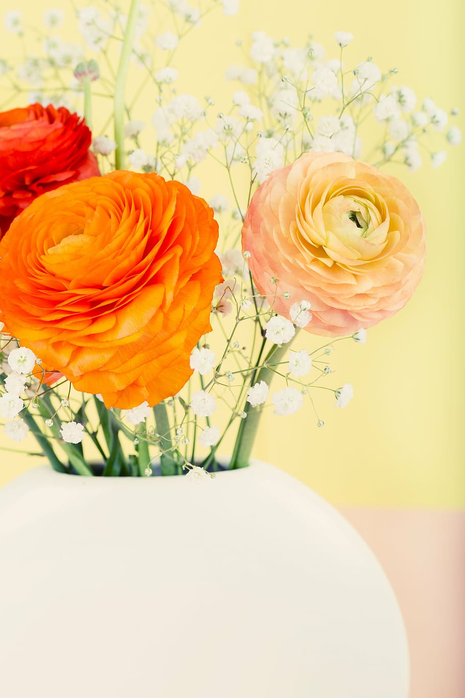 ranunculus, flower, blossom, bloom, spring, bouquet, flower vase, HD wallpaper