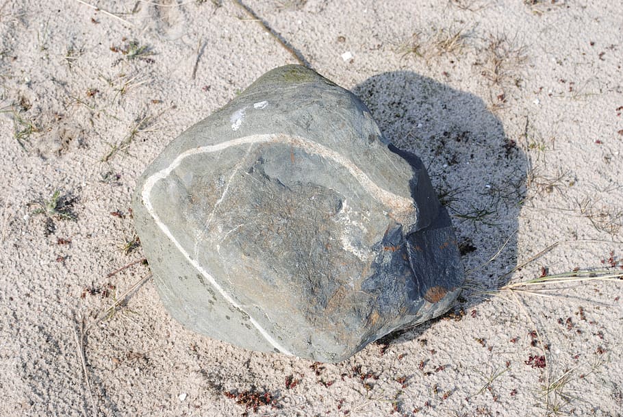 beach, stone, sand, stone collection, land, nature, animal HD wallpaper