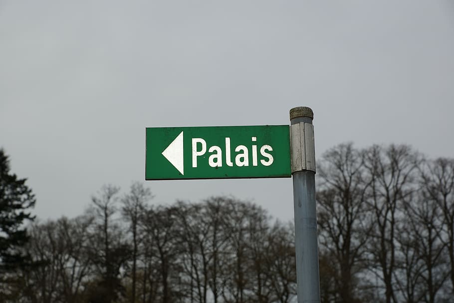 directory, palais, palace, shield, sign, communication, tree HD wallpaper