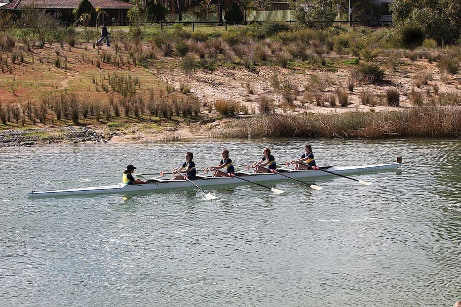 Sport, Rowing, Rowing, Australia, sport rowing, competition HD wallpaper