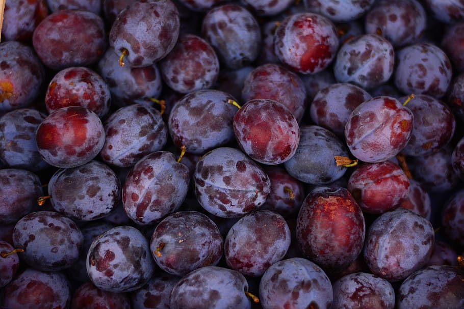 bunch of fruits, plums, ripe, violet, vitamins, healthy eating HD wallpaper