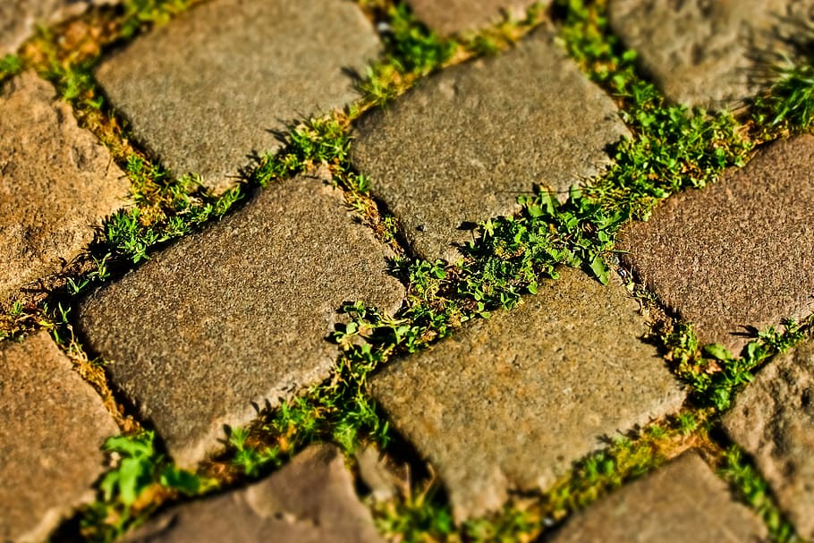 cobblestone, patch, road, stones, away, cobblestones, paving stones HD wallpaper