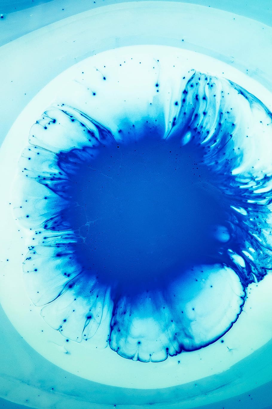 closeup photo of white paint with drop of blue paint, water HD wallpaper