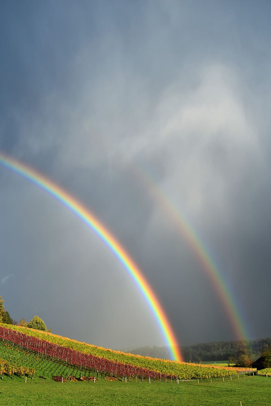 rainbow, landscape, nature, mood, sky, rainbow colors, natural phenomenon HD wallpaper