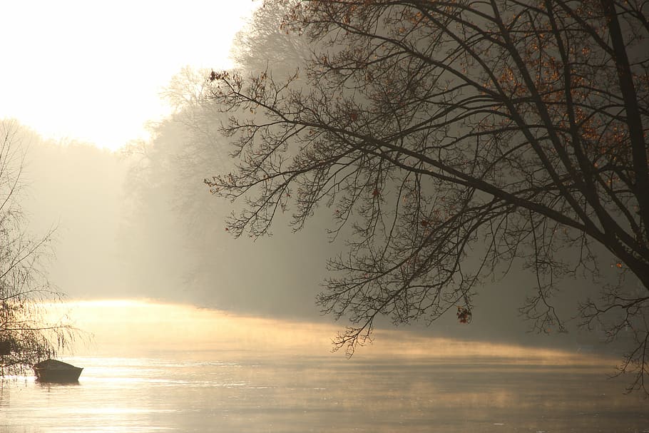 river, fog, tree, sunrise, nature, mood, mirroring, water, sky HD wallpaper