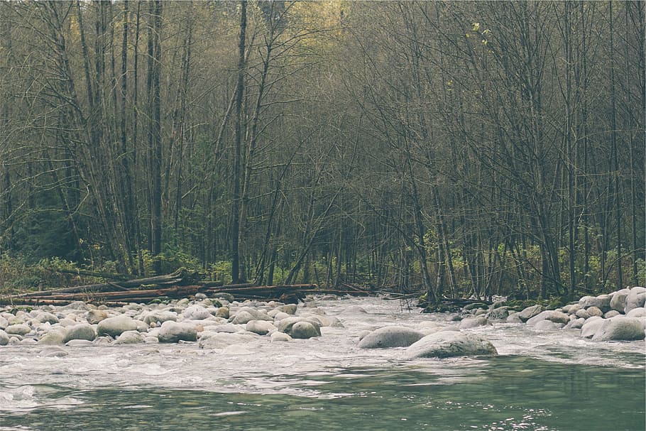 gray stones with trees and body of water, panorama, photography HD wallpaper
