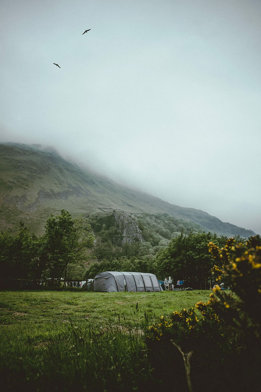 gray tent near mountain, gray greenhouse near mountain under cloud HD wallpaper