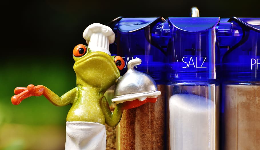 frog, cooking, spices, preparation, eat, ingredient, kitchen HD wallpaper