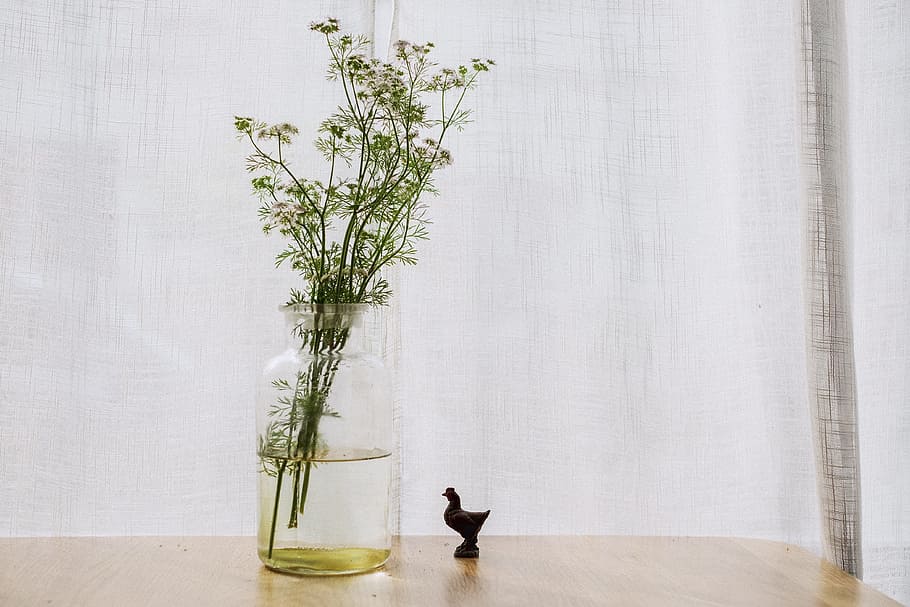 green plant on clear glass vase on brown wooden surface, green leaf plant in clear glass vase