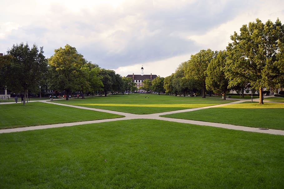 green grass field, university, college, campus, main, quad, education