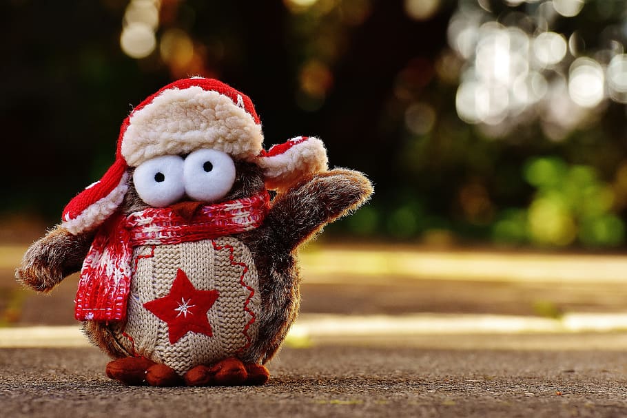 owl, plush, winter, funny, cap, scarf, bird, cute, decoration HD wallpaper