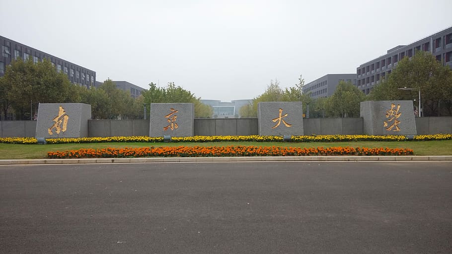 Nanjing University, Gate, Positive, road, day, no people, transportation HD wallpaper
