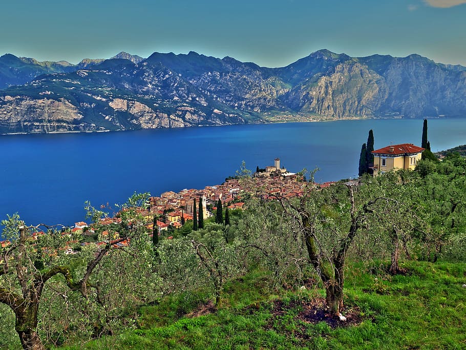 malcesine, garda, mountains, olive trees, panorama, lake, italy HD wallpaper