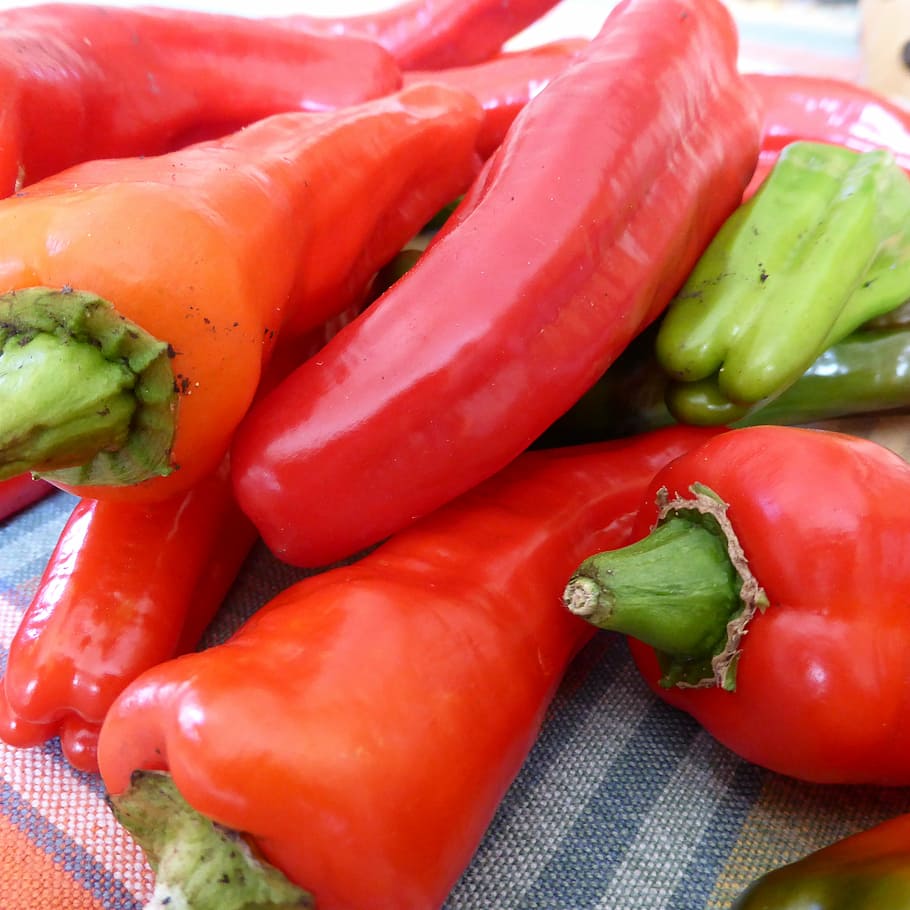 paprika, pepperoni, red, green, vegetables, food, freshness HD wallpaper