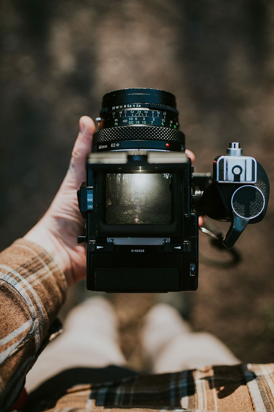 person holding black camera displaying trees at daytime, len HD wallpaper